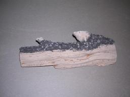 Baby Kindling Fireplace Log 